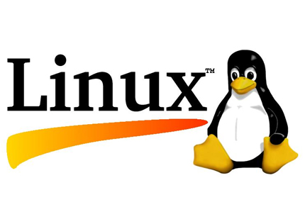 Kibertəhlükəsizlikdə ən çox istifadə olunan linux əməliyyat sistemləri